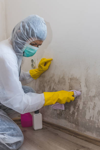 Asbestos and Lead Testing During Mold Inspection in Chester, VA